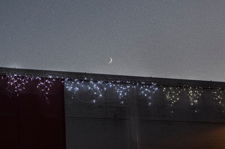 FredricNord_DSC9028-3