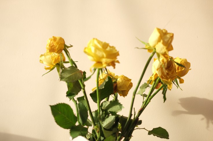 edits from london trip oct 2017106