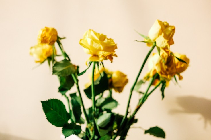 edits from london trip oct 2017107