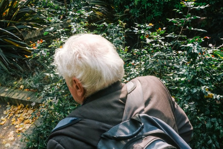 edits from london trip oct 201725