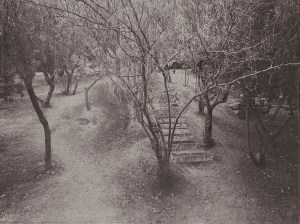 6B89867A-8827-402F-A784-F4173896532D