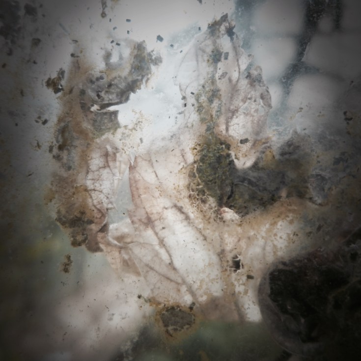 A Trickster_hiromi suzuki_02.jpg