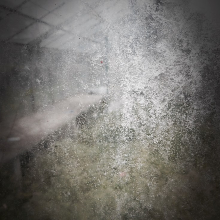 A Trickster_hiromi suzuki_03.jpg