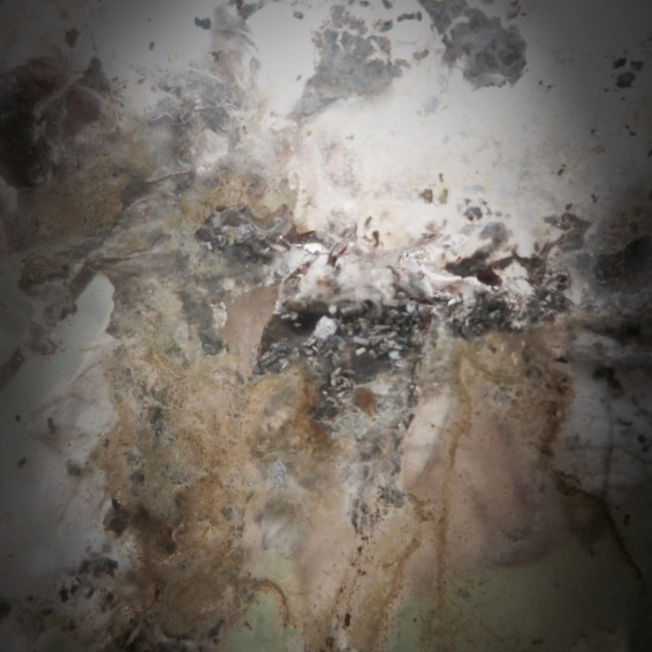 hiromi suzuki_04.jpg