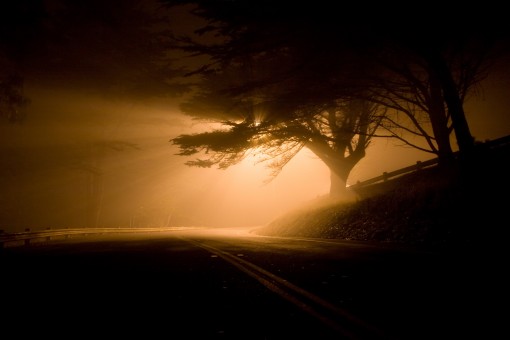 landscape_night_road_shafts_of_light_fog_eerie_dark_forest-892983