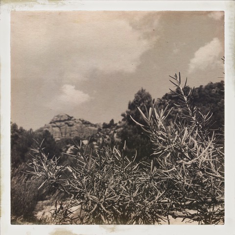 HipstamaticPhoto-555248481.022891