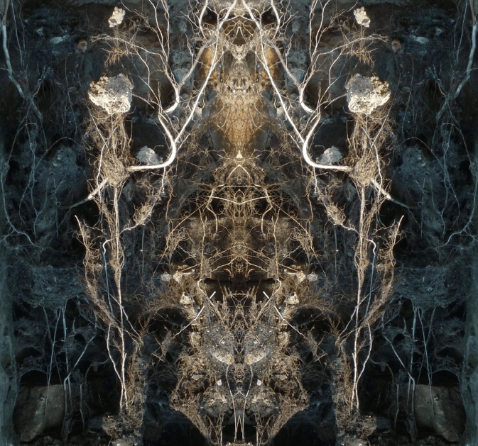 II Night Queen of the Railway Wastelands