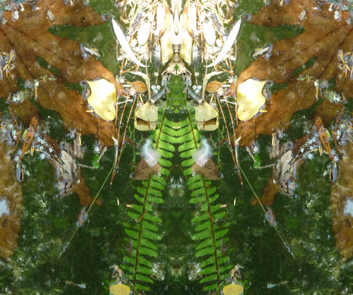 III Sun Goddess of the Duck Pond