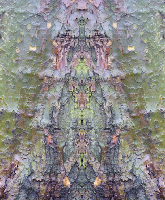 IX Rain Goddess of the Tree Bark