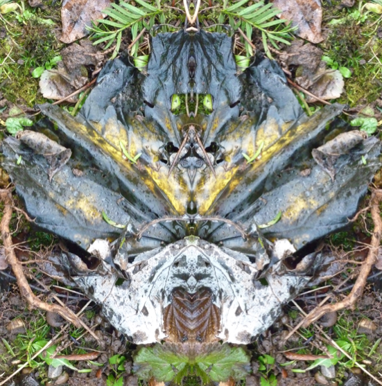 VII Death Goddess of the Leaf Rot.jpeg