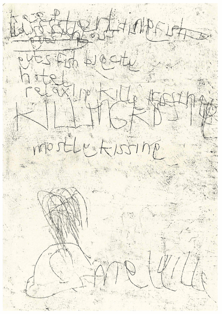 2. Wilderwall Excerpt for Burning House Submission