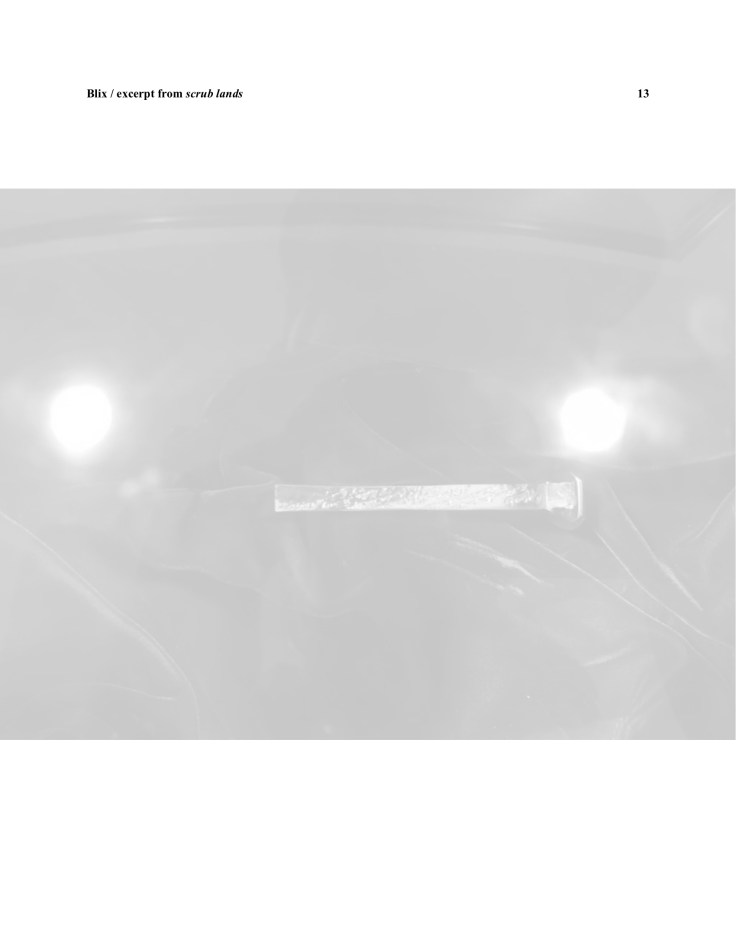 BHP-fragments from scrub lands 13