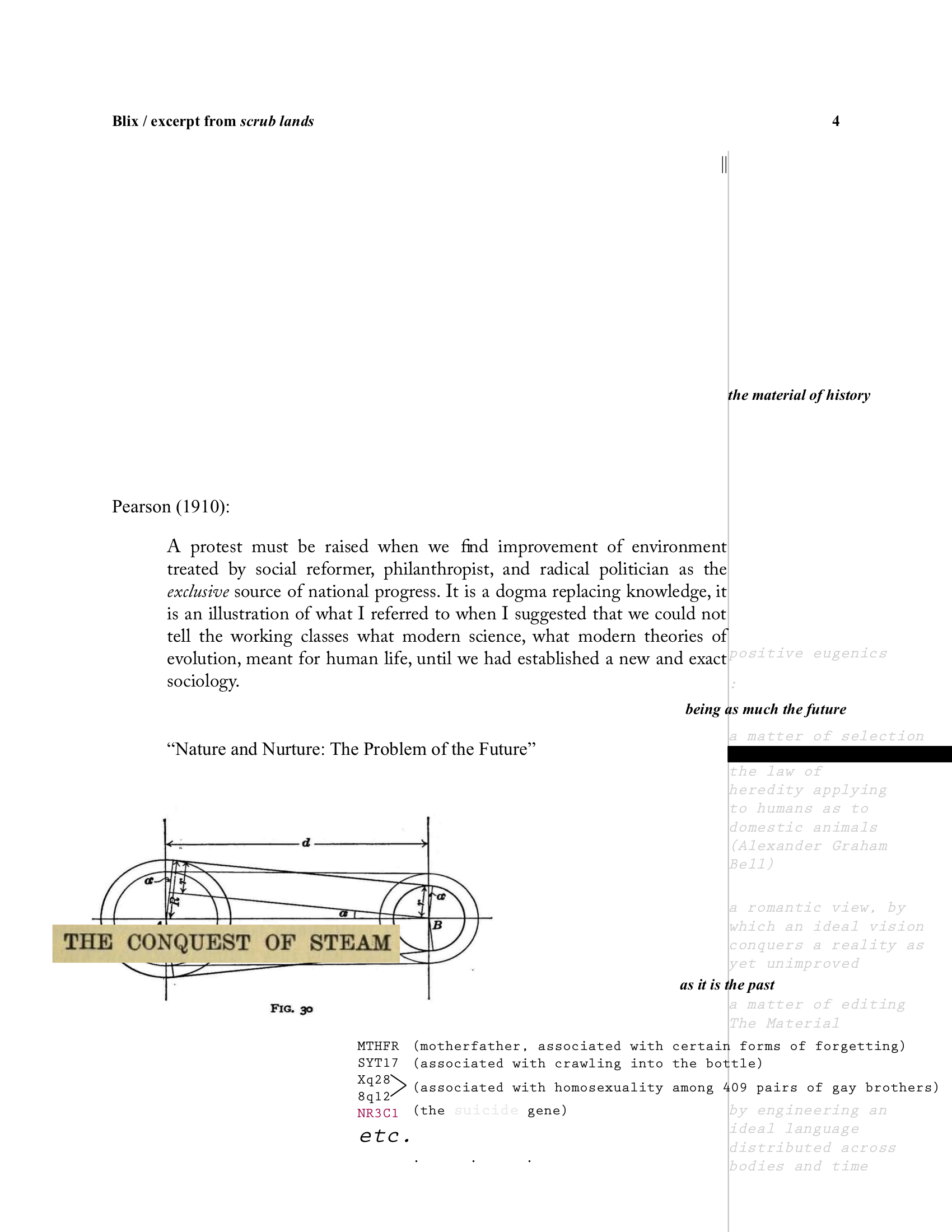 BHP-fragments from scrub lands 4