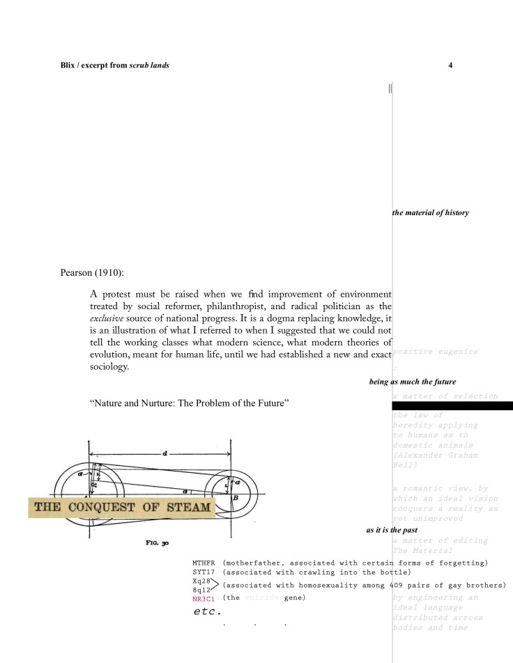 BHP-fragments from scrub lands 4