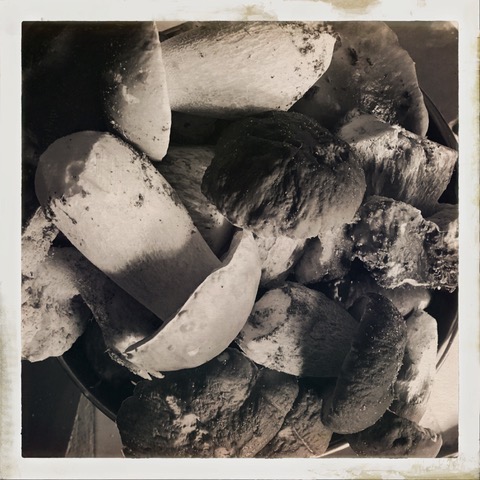 HipstamaticPhoto-562331172.925626