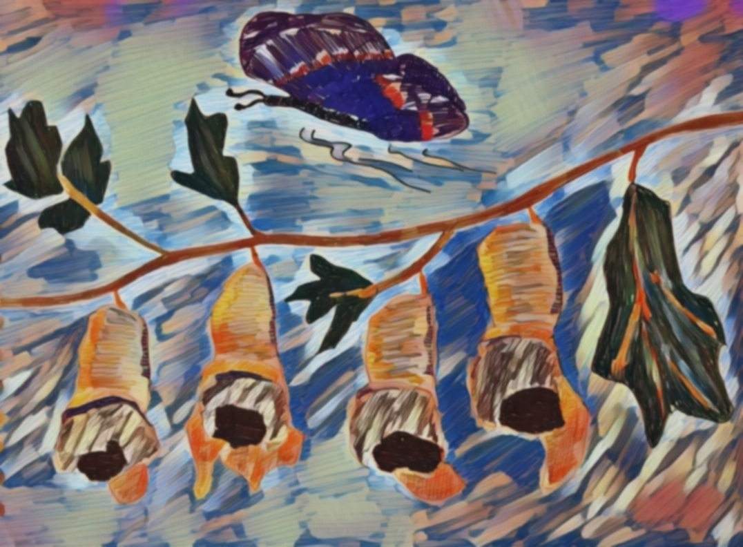 It Does Not Matter Who Put You In the Cocoon - by Tucker Lieberman