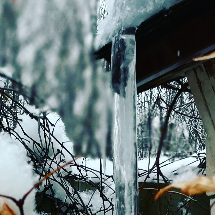 IMG_20180110_053317_344