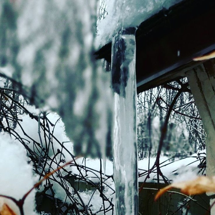 IMG_20180110_053317_344