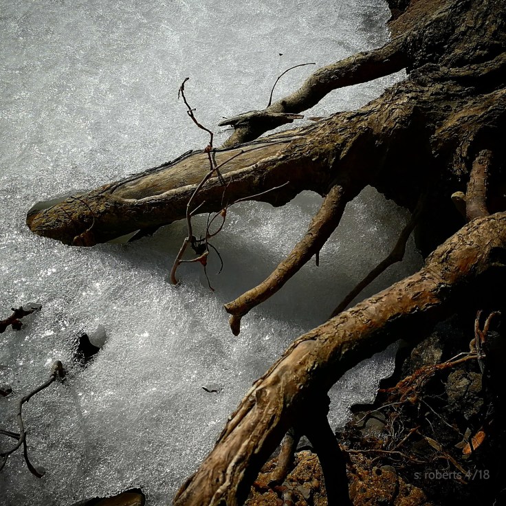 IMG_20180410_224443_218