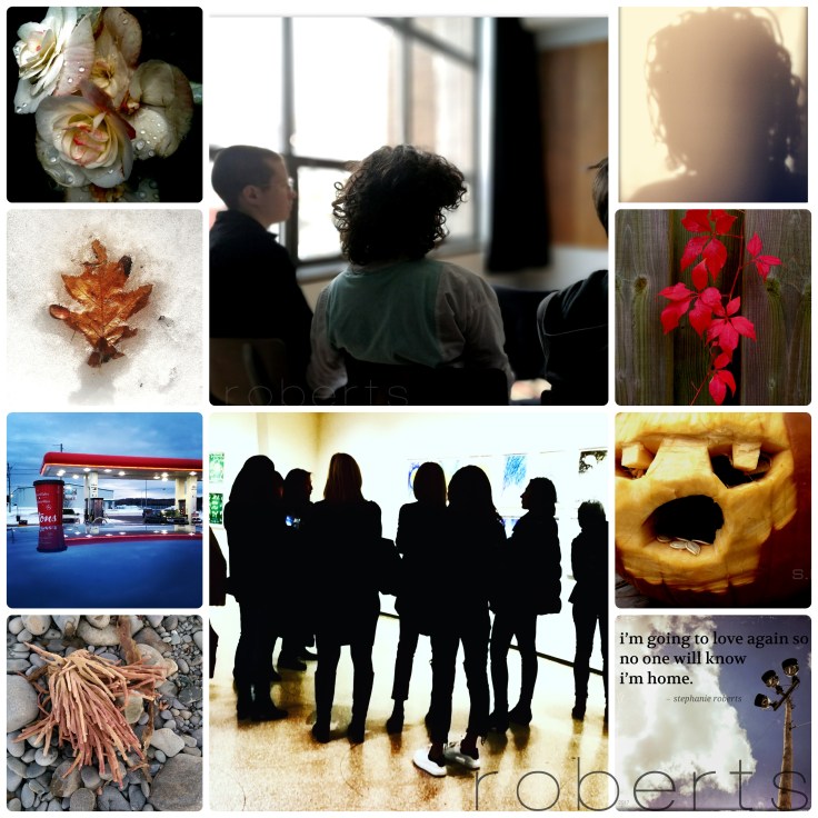 pixlr_20190226090428307