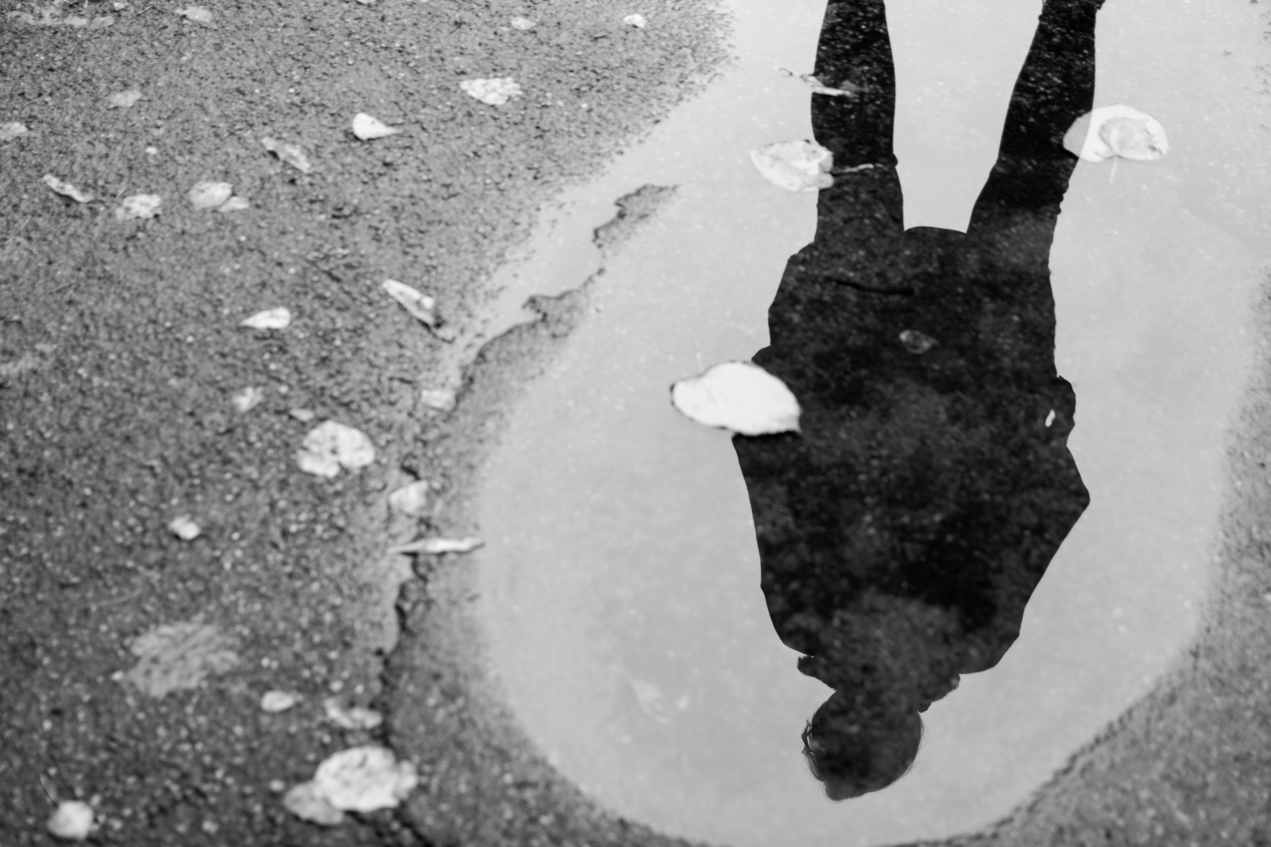 inja-pavlic-0hLNcXOcUa4-unsplash