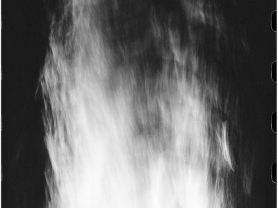 “Part Time Wolf Wife Who Bites Children” by Xopher&nbsp;Besinger