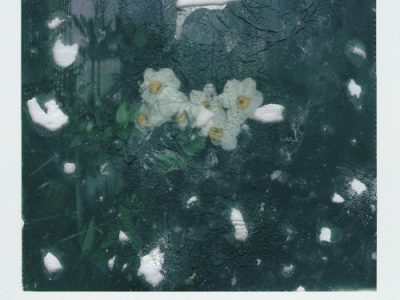 “Glutton for Sorrow” by Maria&nbsp;Hardin