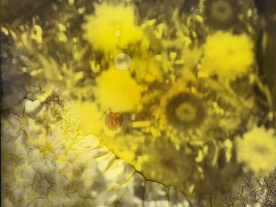 Short poems by Carleen&nbsp;Tibbetts