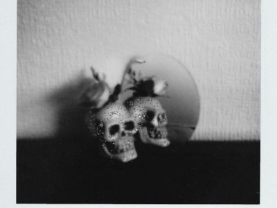 “Francis Bacon’s Two Figures in the Grass (1954)” by James&nbsp;Pate