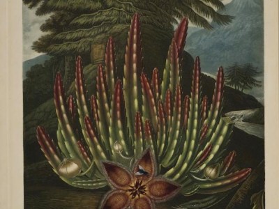 “IV” from Seismic Mediumicity by Jake&nbsp;Syersak