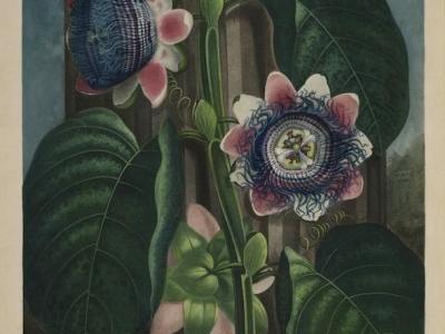 “Bristles from a Paintbrush, Like the Entrails from a Better Somewhere-else” by Jake&nbsp;Syersak