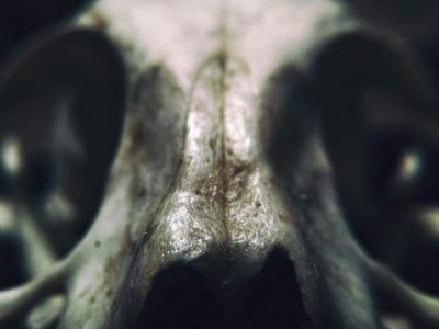 “DEATH STAR” by Gary J.&nbsp;Shipley