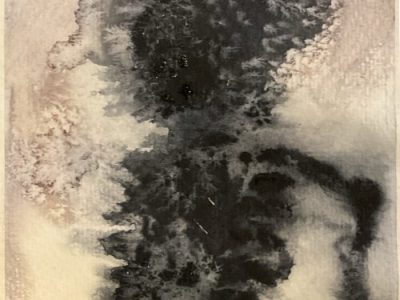 “Salted Anatomy” by Eleanor&nbsp;Crook